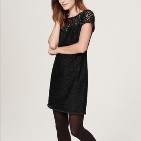 LOFT Dresses & Skirts - LOFT | Navy & Black Lace Shift Dress